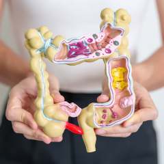 The Connection Between Digestion and Hormones
