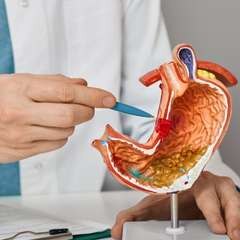 Dr. Sherry Rogers: Healing the Stomach Lining