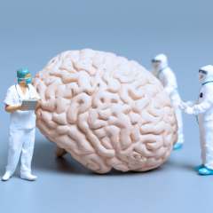 Dr. Sherry Rogers: Nutrients for a Brain Health