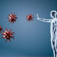 Dr. Sherry Rogers: How to Prepare the Body for Bugs