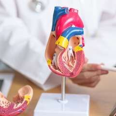 Dr. Sherry Rogers: Tips to Manage Heart Disease