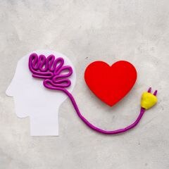 Nutritional Game Plan to Manage Brain Health