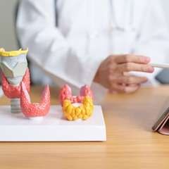 Is Vitamin D Related to Thyroid Disorders?