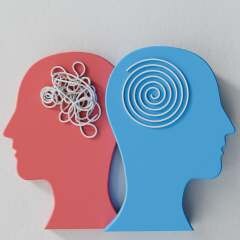 Vitamin Receptor in Brain That Influences Brain Function