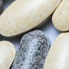 Ask Our Wellness Educators: Do I Need a Multivitamin?
