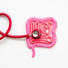 What Does Your Gut Say?