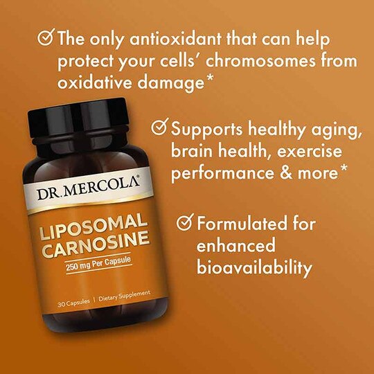 Liposomal Carnosine 250 Mg, 30 Capsules, DRM