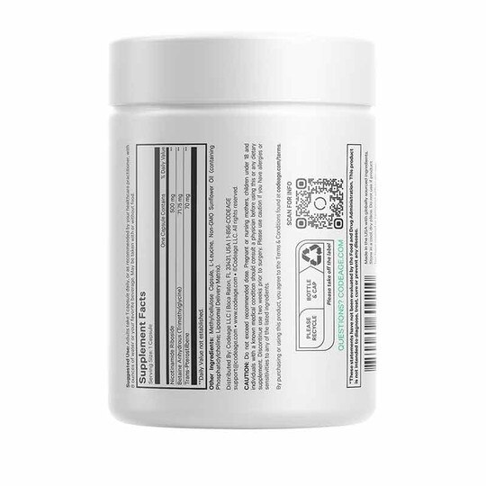 Liposomal Nicotinamide Riboside+, 60 Capsules, CDE