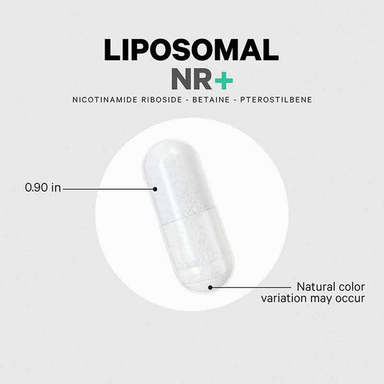 Liposomal Nicotinamide Riboside+, 60 Capsules, CDE