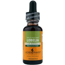 Lobelia Extract 1