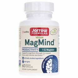 MagMind Productivity 1