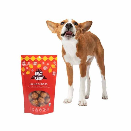 Mango Pops Vegan Dog Treats, 6 Oz, LJ