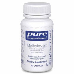 MethylAssist