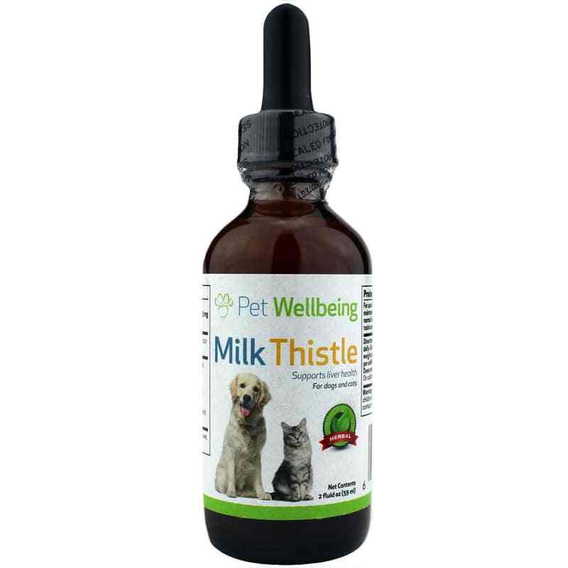Milk Thistle for Dogs & Cats, Pet Wellbeing