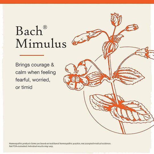 Mimulus Flower Essence, .7 Oz, BFR