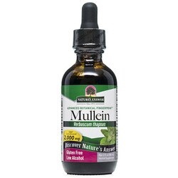 Mullein Leaf Extract