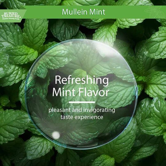 Mullein Mint, 2 Oz, BTN