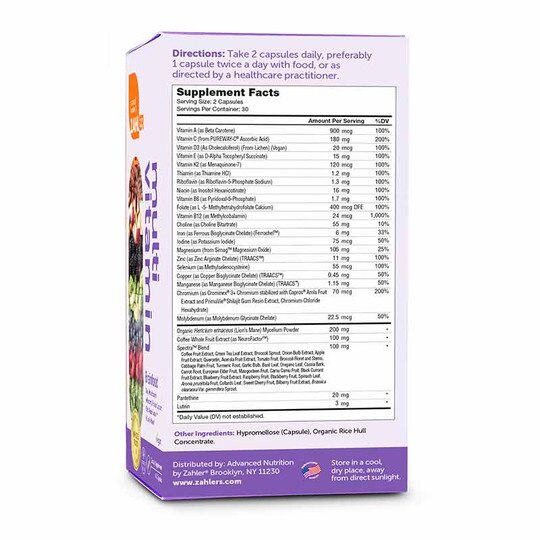 Multivitamin Brainfood, 60 Capsules, ZHL