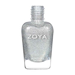 Nail Polish Silver