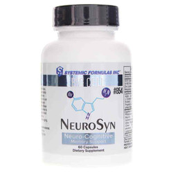 NeuroSyn Neuro-Cognitive Memory Support