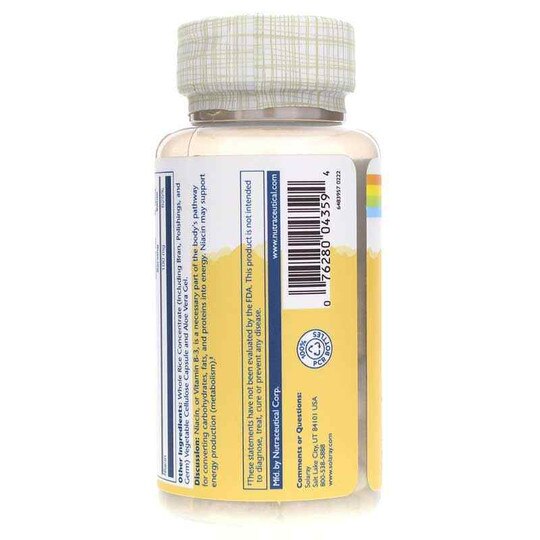 Niacin 100 Mg, 100 Veg Capsules, SLR
