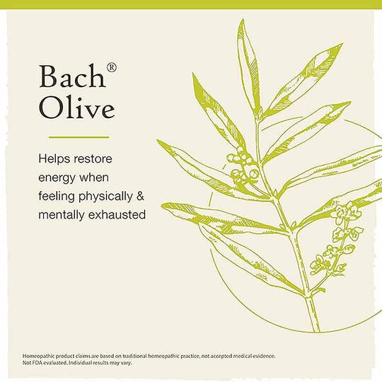 Olive Flower Essence, .7 Oz, BFR
