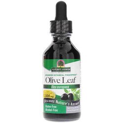 Olive Leaf 1