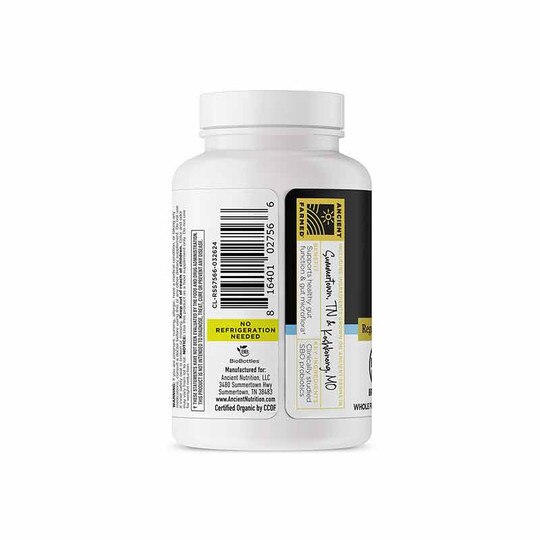 Once Daily Probiotics Shelf Stable, 30 Capsules, ANN