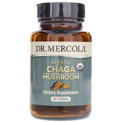 Organic Chaga Mushroom 1