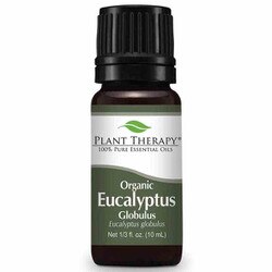 Organic Eucalyptus Globulus Essential Oil