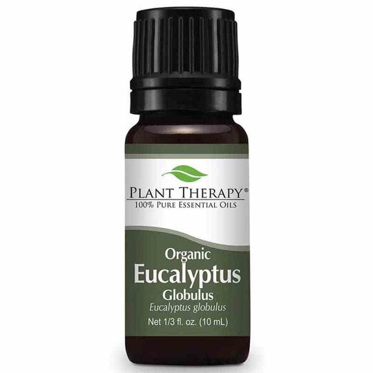 Organic Eucalyptus Globulus Essential Oil, .33 Oz, PL