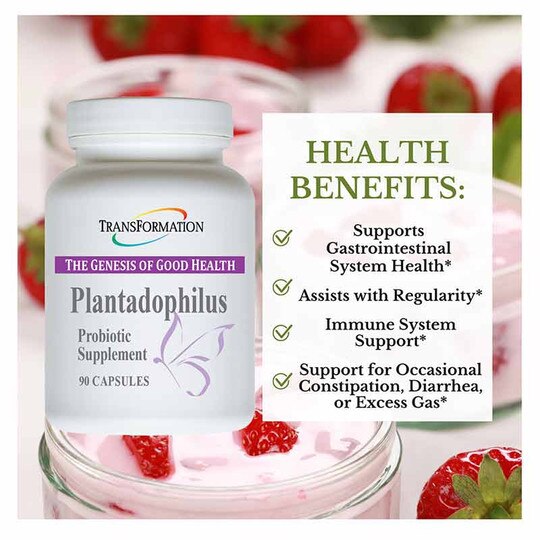Plantadophilus Probiotic, 90 Capsules, TSE