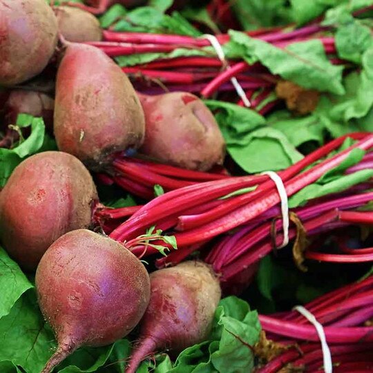 Premier Fermented Beets, 6.3 Oz, PRL