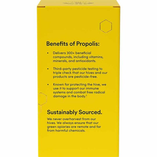 Propolis Sinus Support, 60 Vegan Capsules, BKN