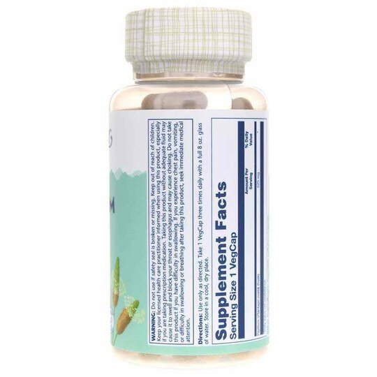 Psyllium Husk 525 Mg, 100 Veg Capsules, SLR