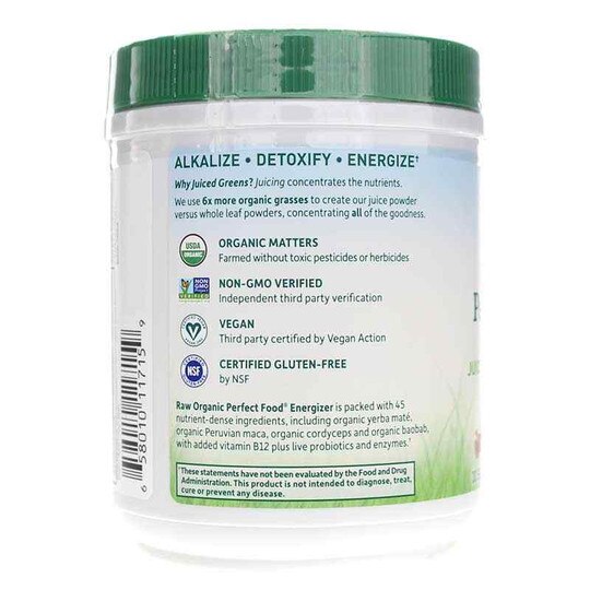 Raw Organic Perfect Food Energizer Green Powder, 9.73 O, GOL