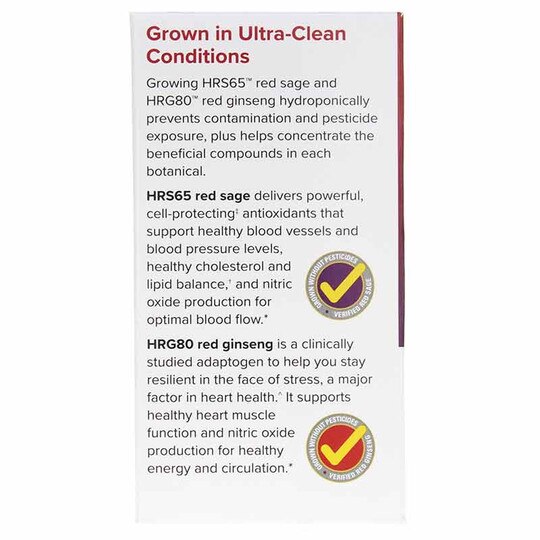Red Sage Plus with HRG80 Red Ginseng, 30 Capsules, TNT