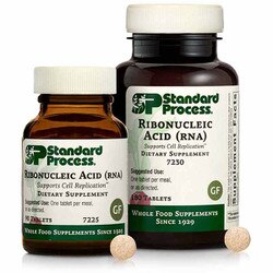 Ribonucleic Acid (RNA)
