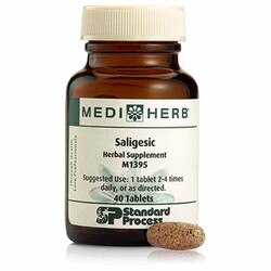 Saligesic
