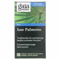 Saw Palmetto 1