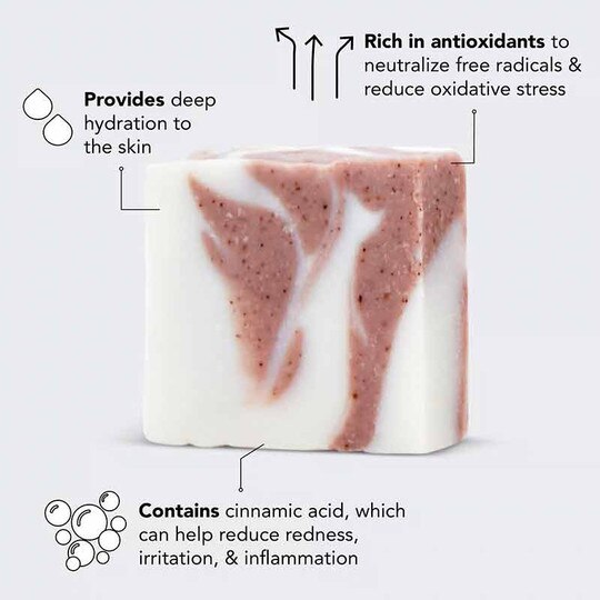 Shea Butter Moisturizing Body Wash Bar, 4 Oz, KT