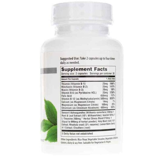 Stress Ease, 60 Veg Capsules, ANT