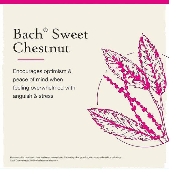 Sweet Chestnut Flower Essence, 0.7 Oz, BFR