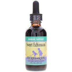 Sweet Echinacea 1
