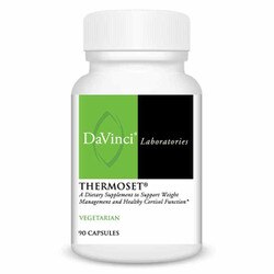 ThermoSet 1