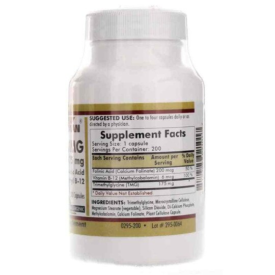 Dmg And Tmg In Methylation Dmg And Tmg In Methylation