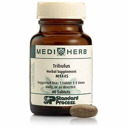 Tribulus 1