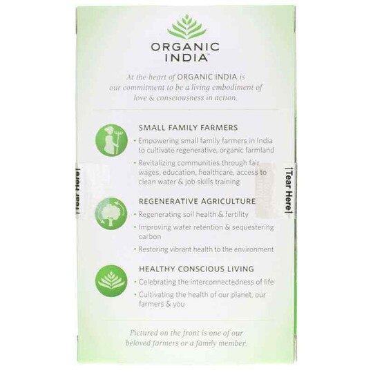 Tulsi Green Organic Tea, 18 Bags, OGI