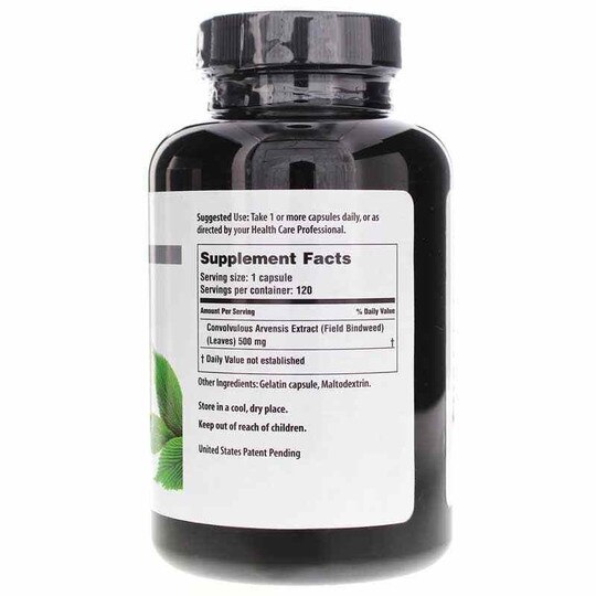 V-Statin, 120 Capsules, ANT