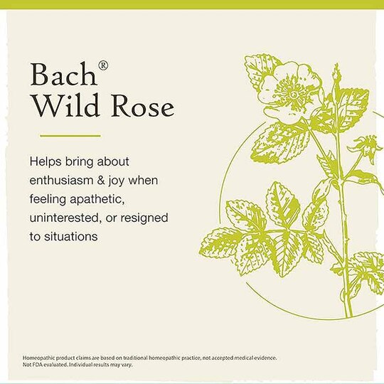 Wild Rose Flower Essence, 0.7 Oz, BFR
